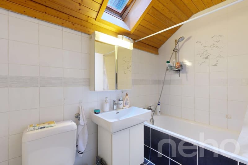 A haven of peace at the gates of Morat with strong rental potential (8)