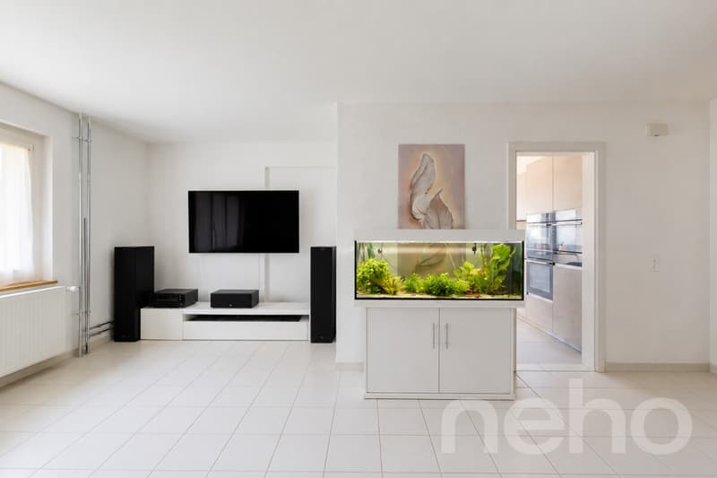 A haven of peace at the gates of Morat with strong rental potential (10)