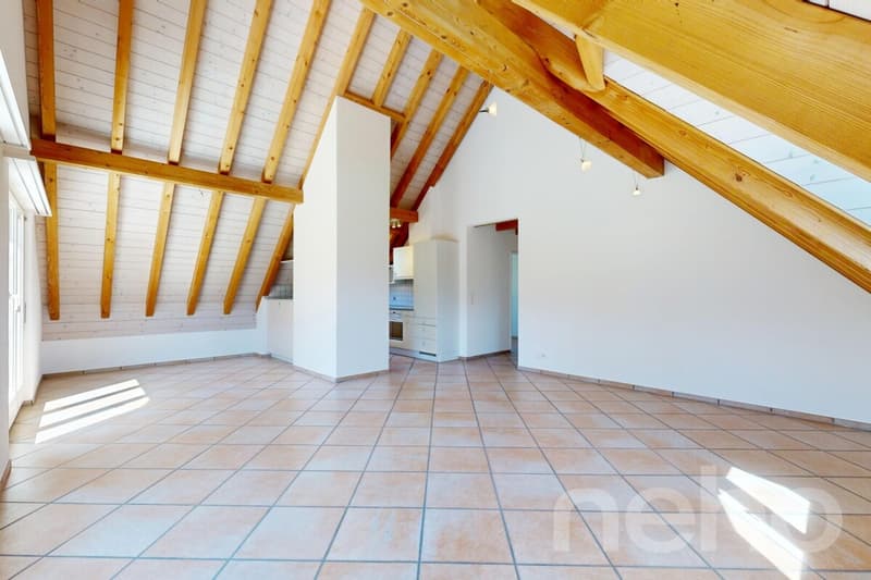 Beautiful 9-room single-family house with annex in Madetswil (ZH) (10)