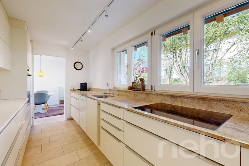 Beautiful 9-room single-family house with annex in Madetswil (ZH) (3)