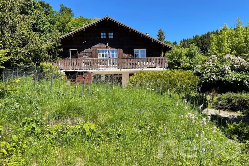 Chalet familial avec studio indépendant et terrain de 1 085 m² (2)