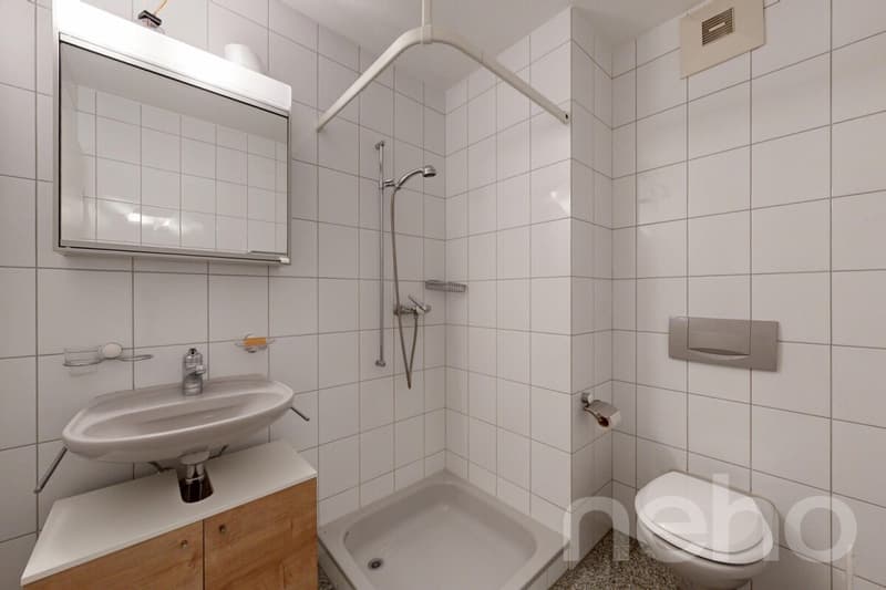 Spacious 3.5-room apartment with sunny terrace (5)