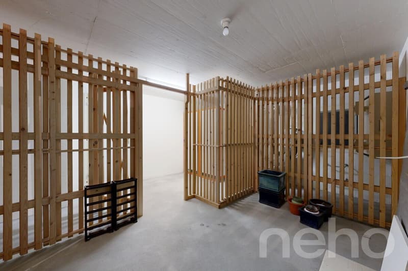 Spacious 3.5-room apartment with sunny terrace (10)