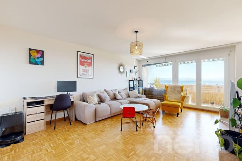 Venez visiter ce très bel appartement avec sa vue sur le lac ! (3)