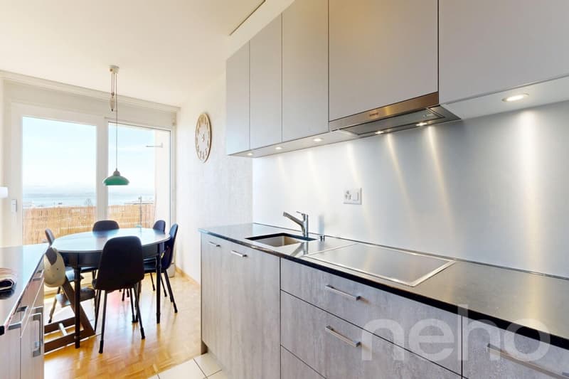 Venez visiter ce très bel appartement avec sa vue sur le lac ! (4)