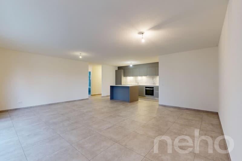 Orbe magnifique appartement avec jardin (5)