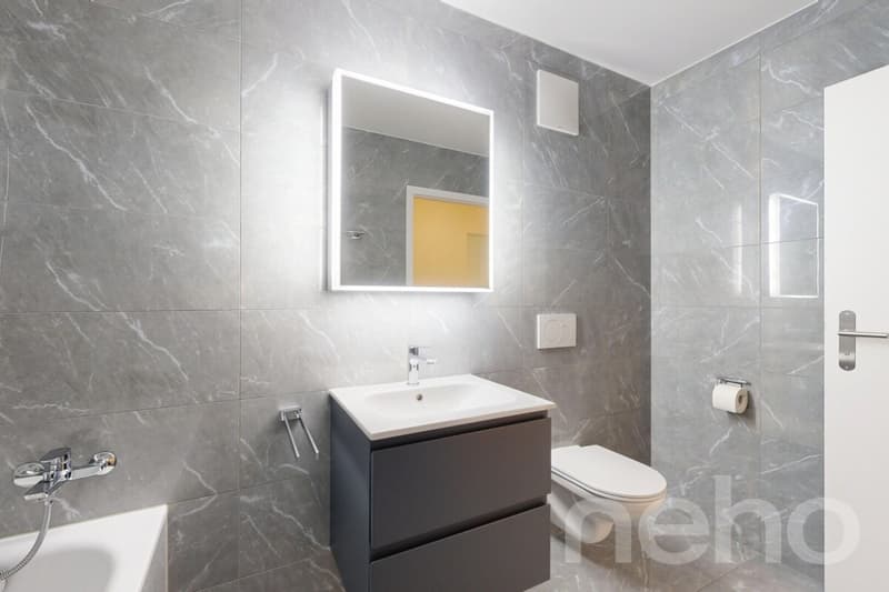 Orbe magnifique appartement avec jardin (9)