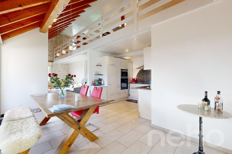 Appartement spacieux avec galerie en centre-ville (2)