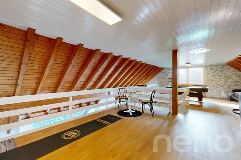 Appartement spacieux avec galerie en centre-ville (8)