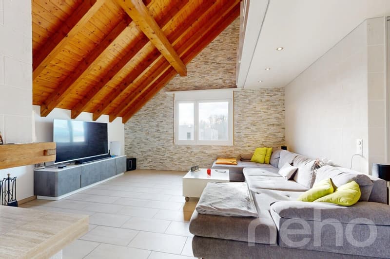 Appartement spacieux avec galerie en centre-ville (4)
