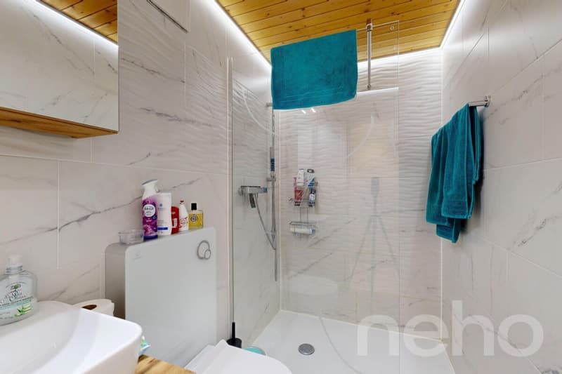 Appartement spacieux avec galerie en centre-ville (9)