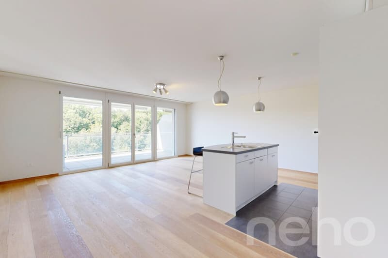 Modern and bright apartment in Belmont-sur-Lausanne (3)