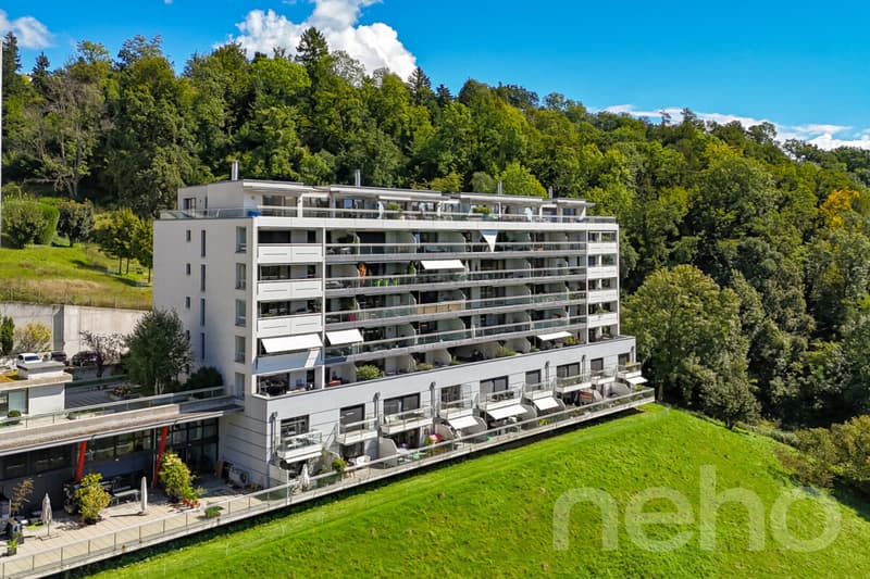 Modern and bright apartment in Belmont-sur-Lausanne (1)