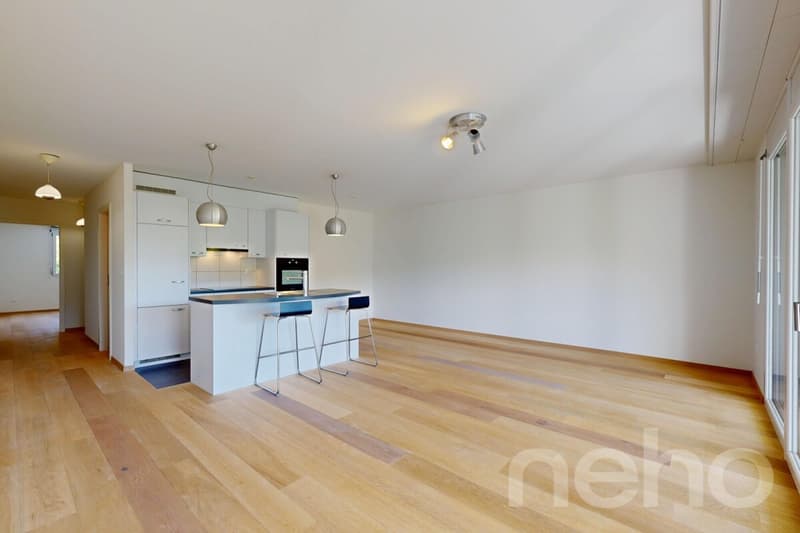 Modern and bright apartment in Belmont-sur-Lausanne (5)