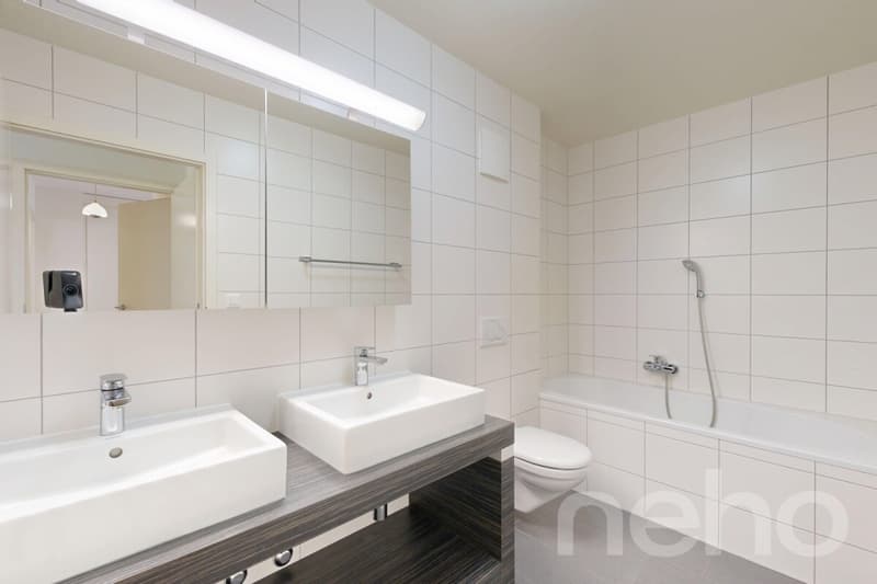 Modern and bright apartment in Belmont-sur-Lausanne (9)