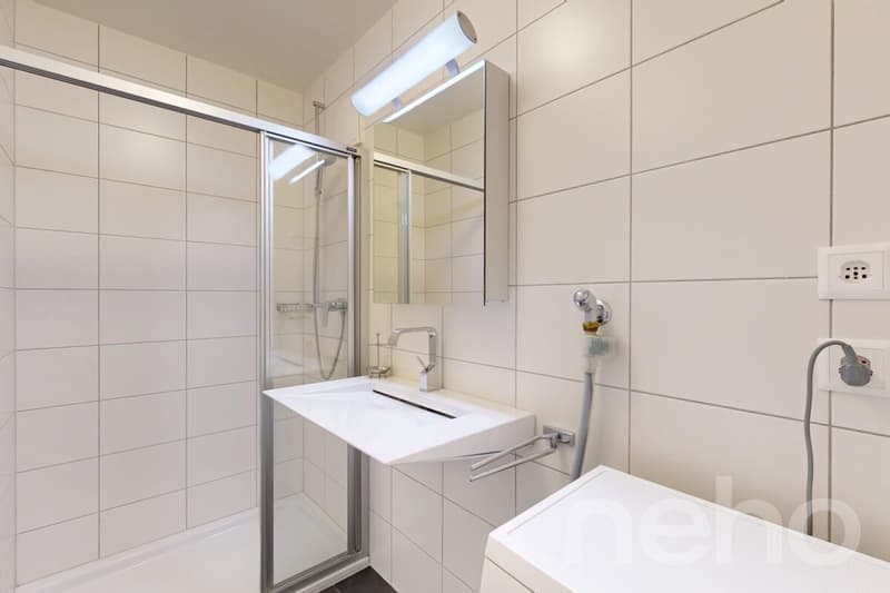 Modern and bright apartment in Belmont-sur-Lausanne (7)
