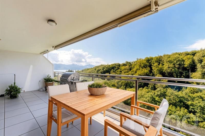 Modern and bright apartment in Belmont-sur-Lausanne (4)