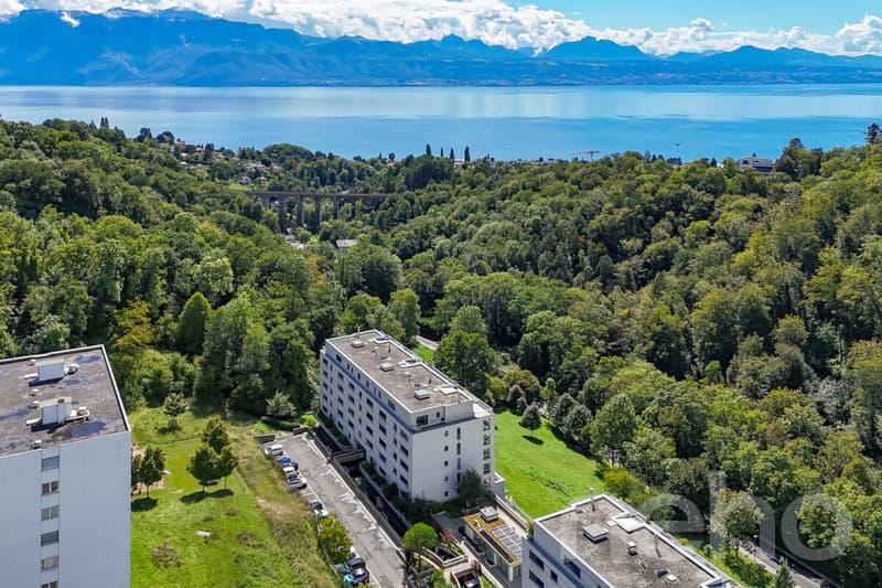Modern and bright apartment in Belmont-sur-Lausanne (10)