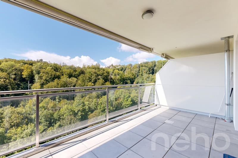 Modern and bright apartment in Belmont-sur-Lausanne (2)