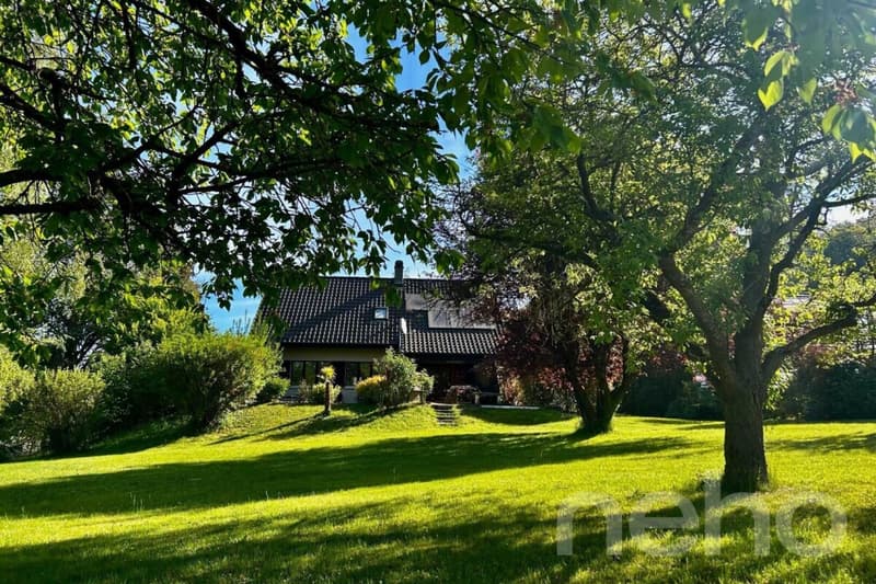 Einfamilienhaus auf einem großen Grundstück (2)