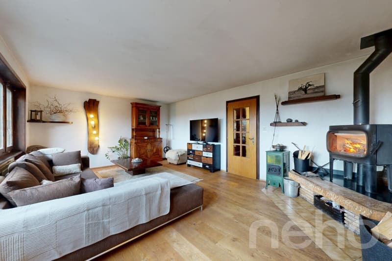 Einfamilienhaus auf einem großen Grundstück (5)