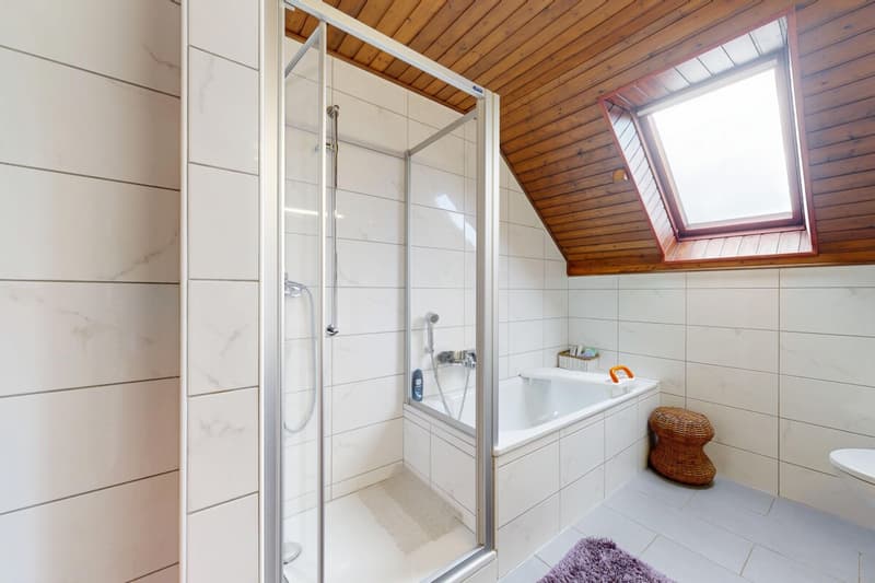 Einfamilienhaus auf einem großen Grundstück (10)