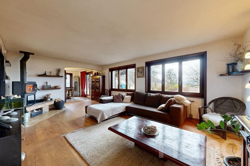 Einfamilienhaus auf einem großen Grundstück (3)