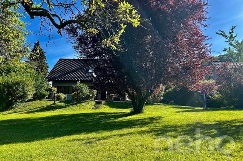 Einfamilienhaus auf einem großen Grundstück (12)