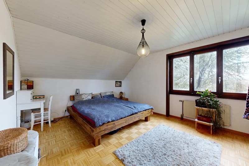 Einfamilienhaus auf einem großen Grundstück (8)