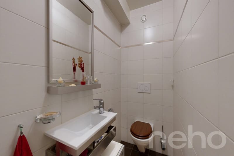 Beautiful 5-room apartment of 97 m² in the center of La Plaine (9)