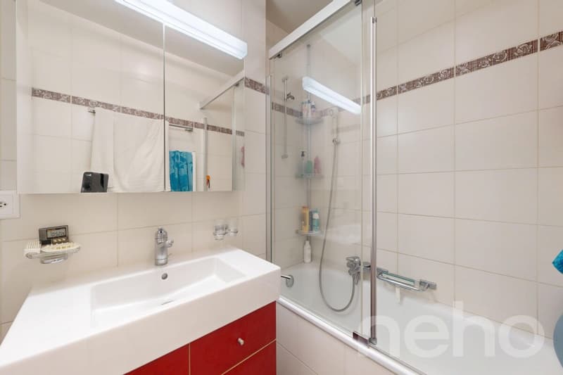 Beautiful 5-room apartment of 97 m² in the center of La Plaine (10)