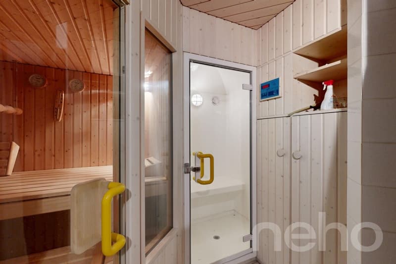Multi-generation house with unobstructable far-reaching views in a quiet location (12)