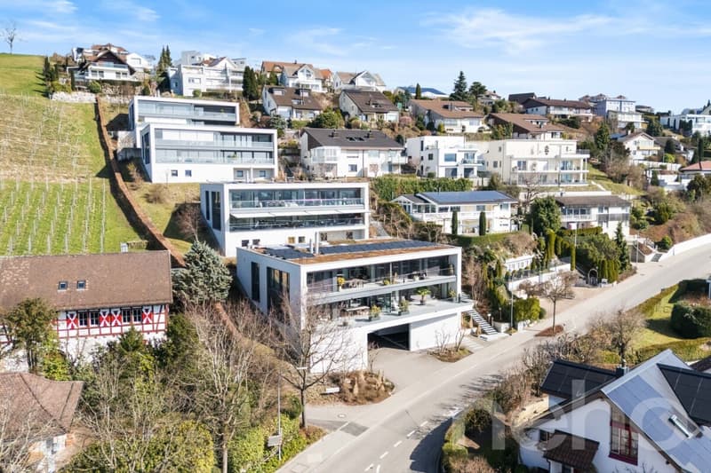 Villa de ville exclusive avec terrasse à Wilberg (1)