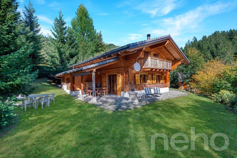 Chalet aux Diablerets | Authentique ? Lumineux ? Paisible ? Secondaire (3)