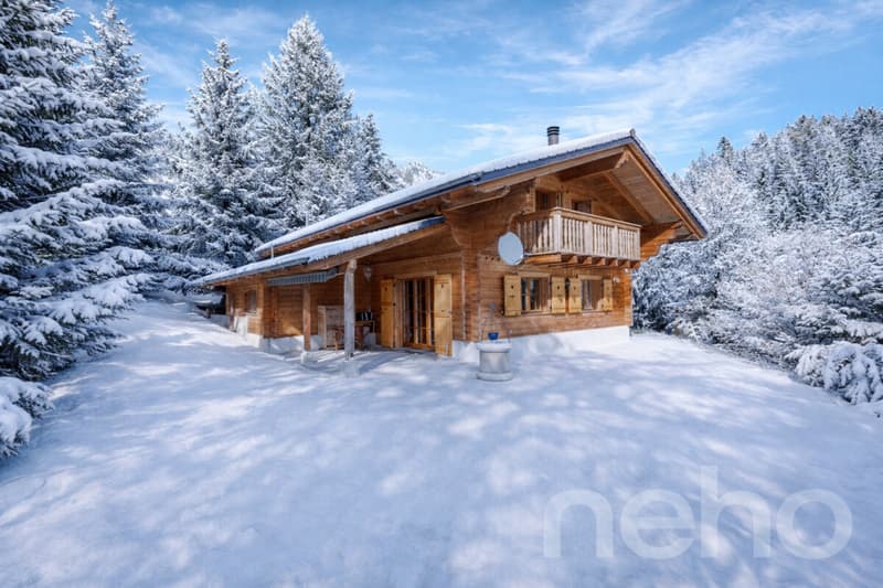 Chalet aux Diablerets | Authentique ? Lumineux ? Paisible ? Secondaire (2)