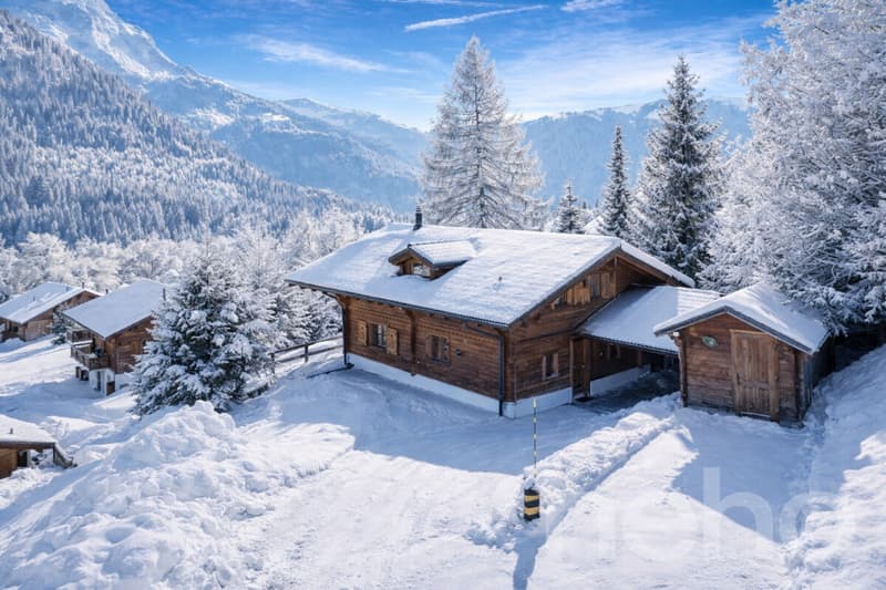Chalet aux Diablerets | Authentique ? Lumineux ? Paisible ? Secondaire (4)