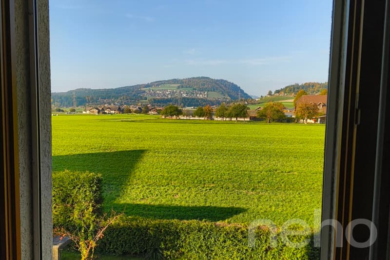 Appartamento luminoso 4.5 locali con camino, balcone, e vista sul verde. Vicino a Thun. (10)