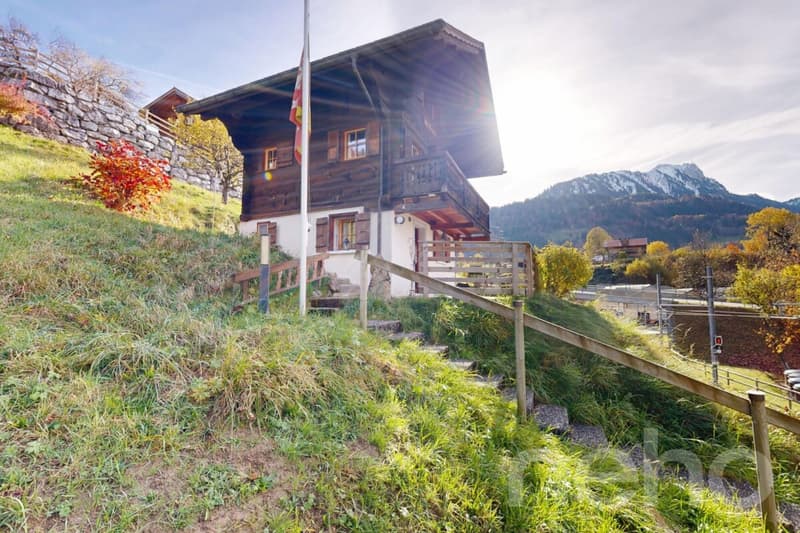 Esclusivo: Chalet di 2.5 locali con giardino (3)