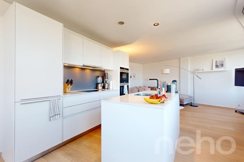 4.5 room apartment in the Limmattower with a far-reaching view (3)