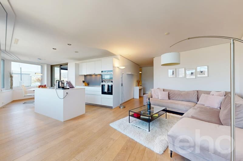 4.5 room apartment in the Limmattower with a far-reaching view (2)