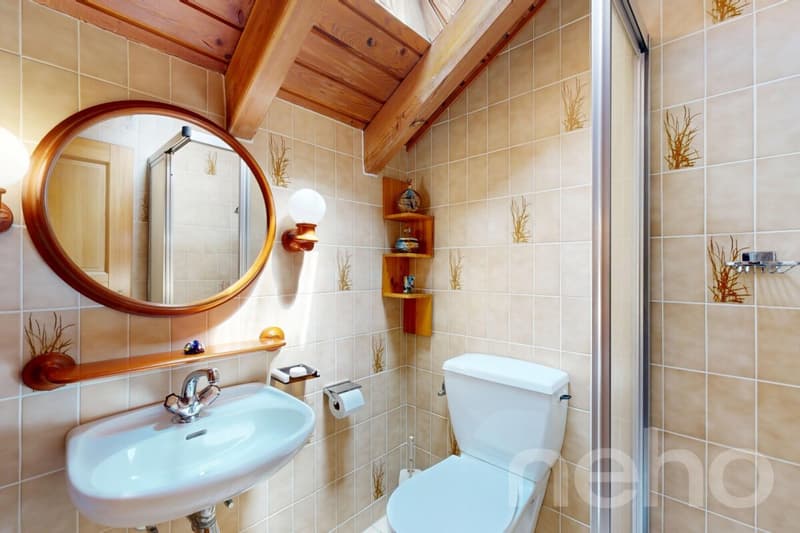 Superbe Villa spacieuse - endroit privilégié avec grande parcelle (10)
