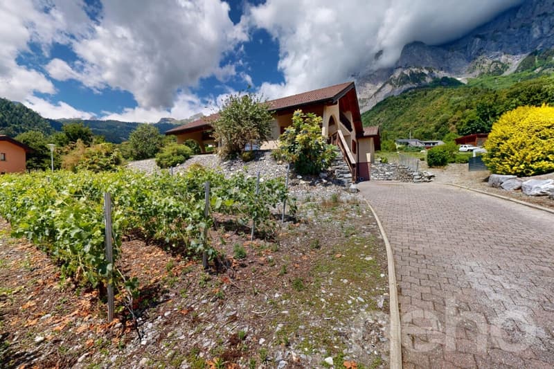 Superbe Villa spacieuse - endroit privilégié avec grande parcelle (12)