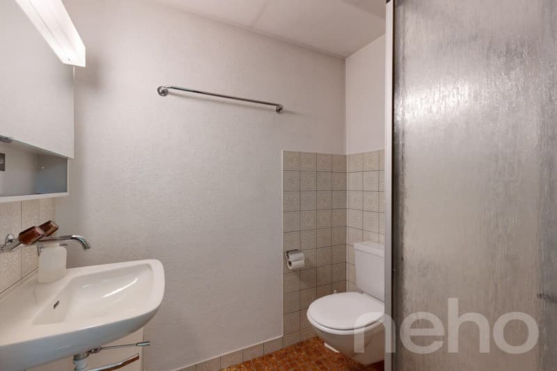 5.5-Zimmer-EFH mit Garten, Doppelgarage und viel Potenzial (11)
