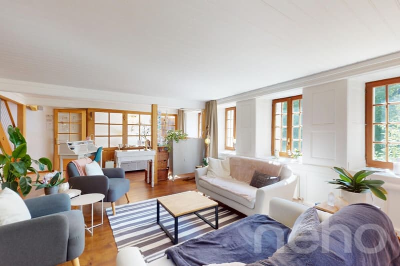 Beautiful atypical house, full of charm and authenticity (4)