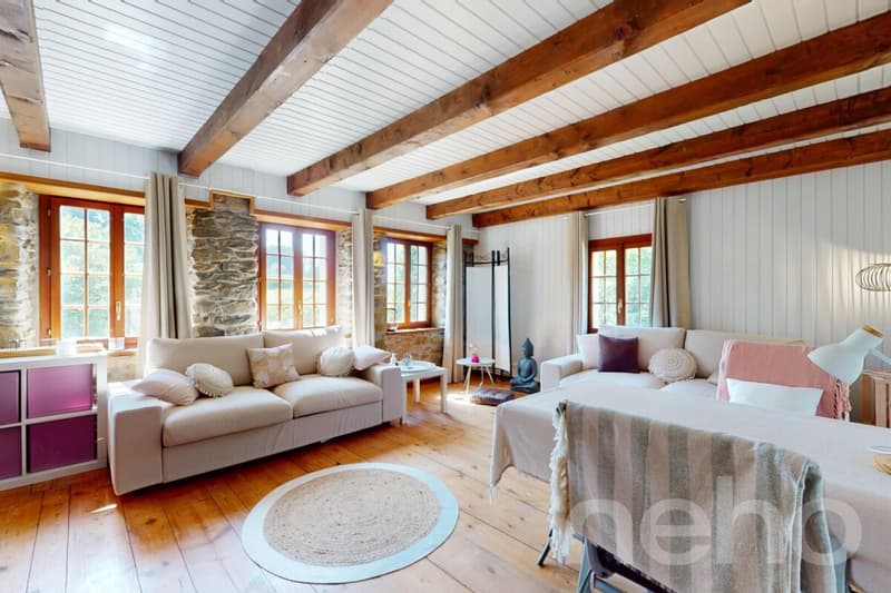 Beautiful atypical house, full of charm and authenticity (11)
