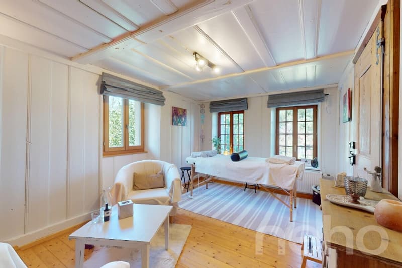 Beautiful atypical house, full of charm and authenticity (10)
