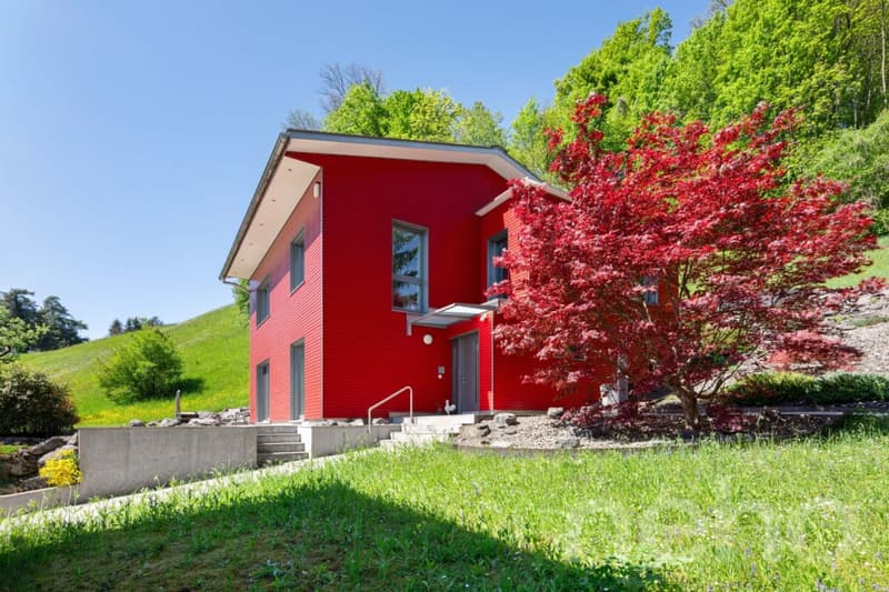Living without neighbors? Single-family house with unique freedom (12)