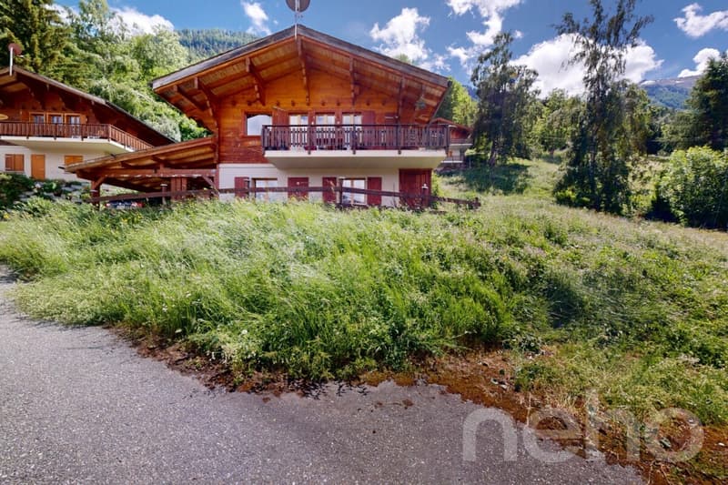 Magnifique chalet à Oberems (1)