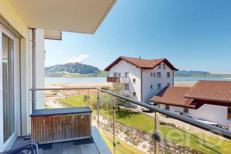 Habiter avec une vue panoramique sur le lac de Sihl ? Paix, lumière et panorama réunis (8)