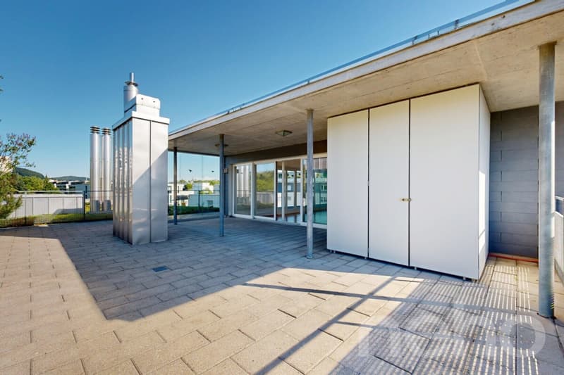 Appartamento 3.5 locali luminoso con terrazza spaziosa (9)